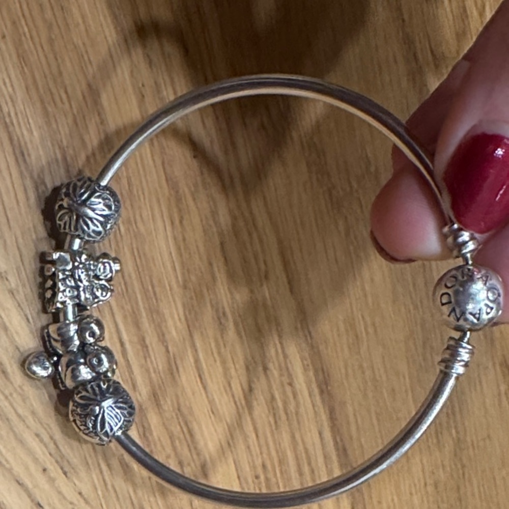 Sterling Silver Pandora Charm Bracelet - Picture 4 of 4